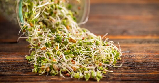 Crudo & Facile: I germogli, integratori di vita