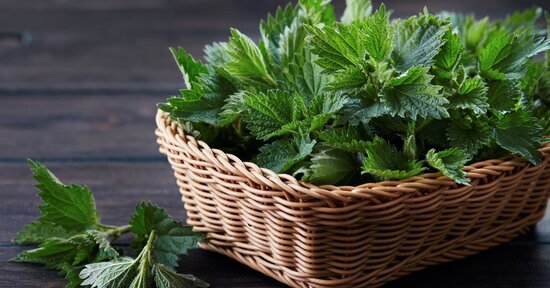 Crudo & Facile: Ortica, la regina delle "erbacce"