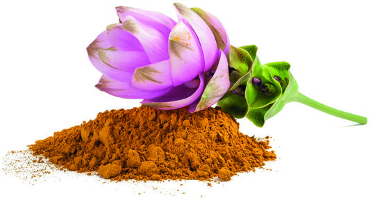 Curcuma e gastrite