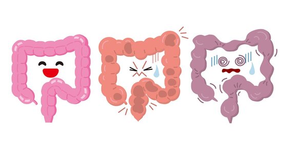 Difficoltà digestiva e gas intestinali? Risolvili con i semi caldi!