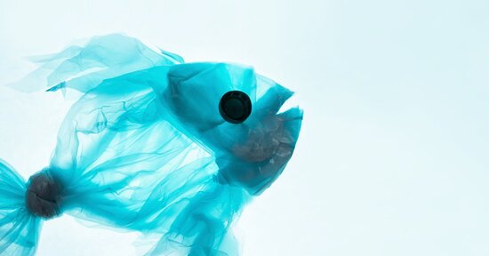 Dire addio alle pellicole per alimenti?