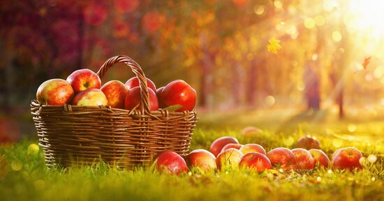 Dolci atmosfere d’autunno