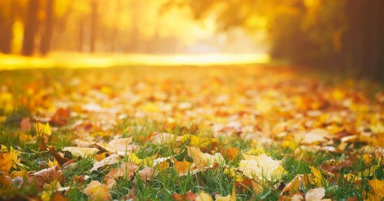 Dolci atmosfere d’autunno