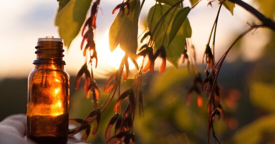 Dottor Bach: come ha scoperto i Fiori?