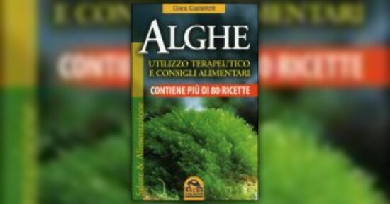 Due semplici e gustose ricette con le alghe!