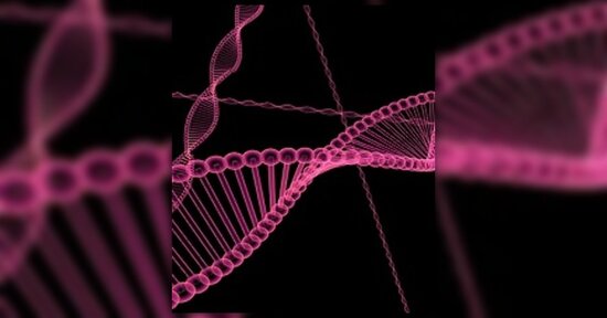 Enneagramma biologico: a cosa serve