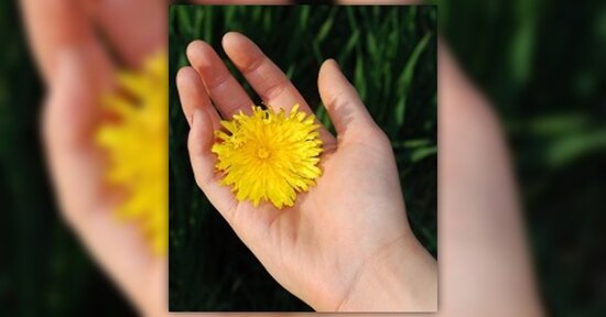 Enneagramma biologico: focus sull’altruista