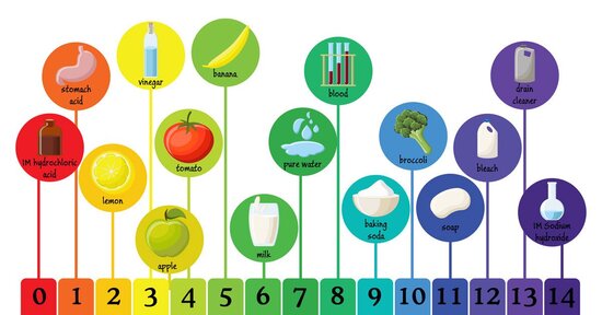 Equilibrio acido base: perché è importante?