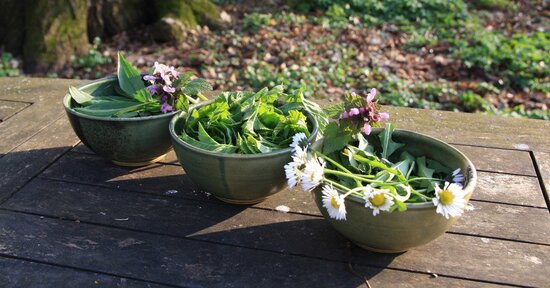 Erbe spontanee: benefici e ricette