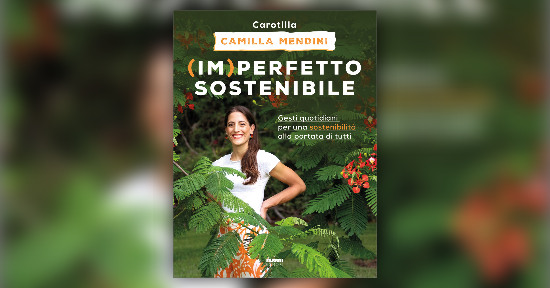 Esiste la perfezione nel campo della sostenibilità?