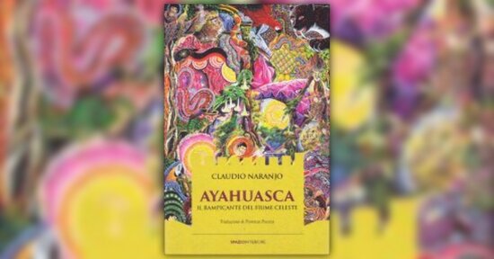 Estratto dal libro "Ayahuasca - Il Rampicante del Fiume Celeste" di Claudio Naranjo