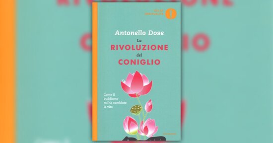 Estratto dal libro "La Rivoluzione del Coniglio"