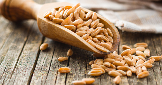 Farro: proprietà e benefici