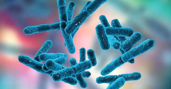 Fermenti lattici: cosa sono e quando assumerli?