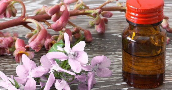 Fiori di Bach e crescita spirituale