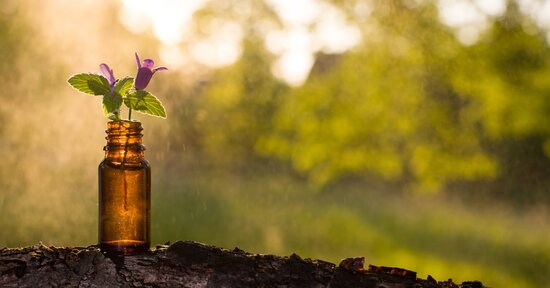 Fiori di Bach: quali sono e a cosa servono