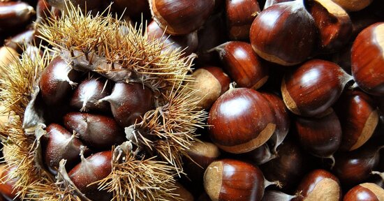 Fiori di Bach: Sweet Chestnut