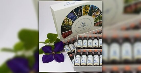 Fiori di Bach: vivi di sensi di colpa?