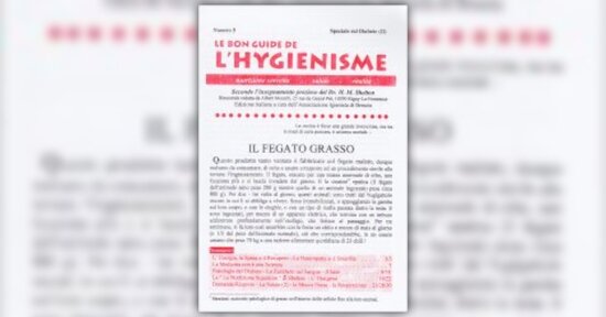 Fisiologia del diabete - Estratto dal libro "Le bon guide de l'Hygienisme - Speciale n. 5"