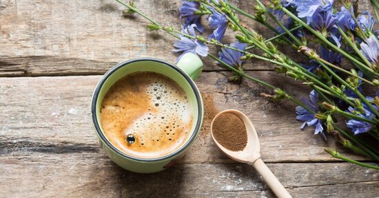 Focus sul caffè di cicoria