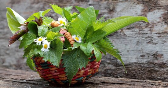 Foraging: andar per erbe spontanee
