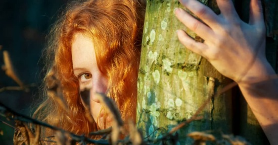 Forest bathing