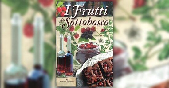 Fragolina di bosco - Estratto dal libro "I Frutti del Sottobosco"