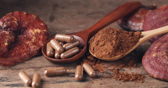 Reishi, chaga e shiitake: i benefici dei funghi medicinali