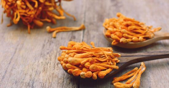 Funghi medicinali per gli sportivi