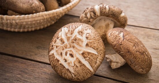 Funghi medicinali per un fegato sano