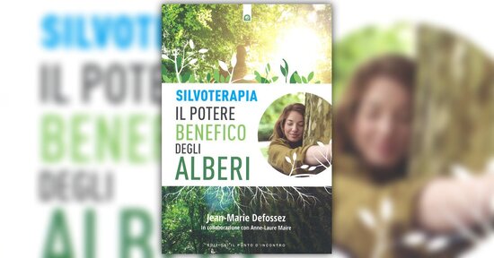 Gli alberi sono maestri - Estratto da "Silvoterapia"