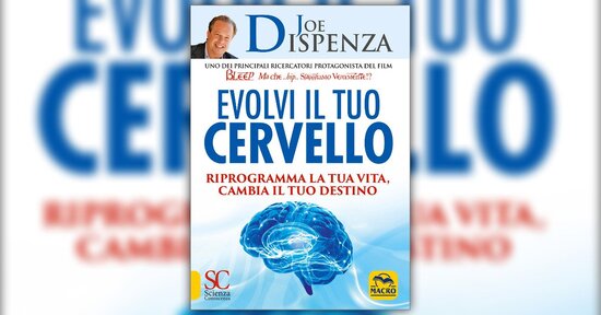 Gli inizi