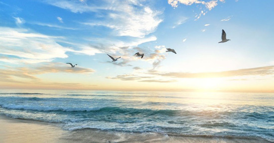 Gli oceani e il cambiamento climatico. Necessità e virtù