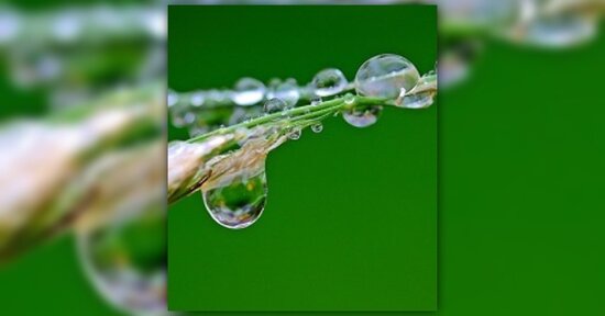 Gli oligoelementi per la stagione fredda