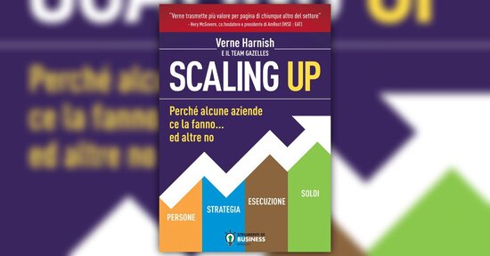 Gli ostacoli - Estratto da "Scaling Up"