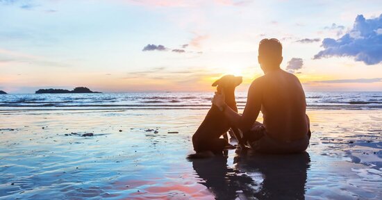 I benefici della relazione tra l’uomo e gli animali