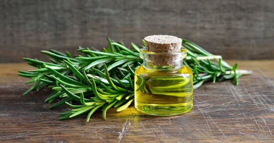 I Benefici Terapeutici del Rosmarino