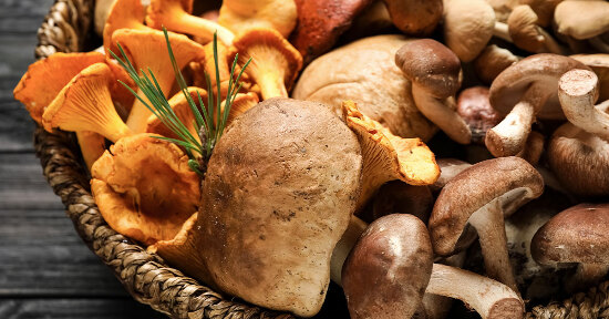 I betaglucani dei funghi