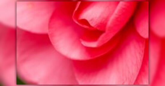 I Disturbi della Menopausa: Risolverli Positivamente