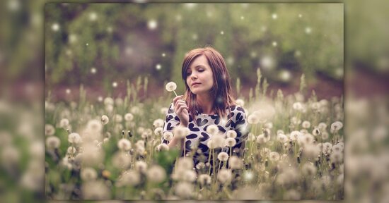 I fiori australiani che aiutano a sviluppare il lato spirituale nella vita quotidiana
