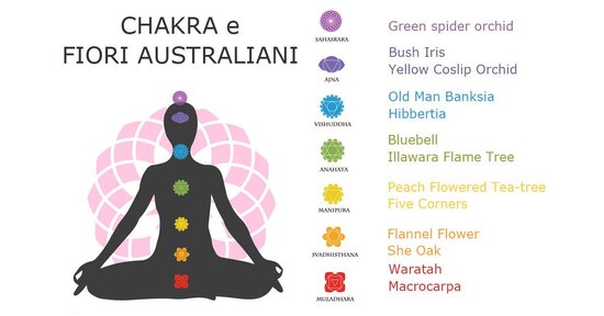 I fiori australiani per riequilibrare i chakra