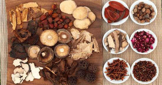 I funghi medicinali