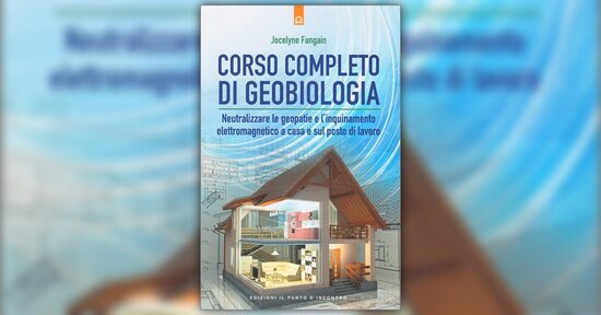 I materiali di costruzione - Estratto da "Corso Completo di Geobiologia"
