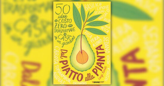 I primi passi - Estratto da "50 Idee a Costo Zero per Trasformare la Casa in un Giardino"