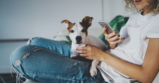 Il cellulare fa male al mio cane?