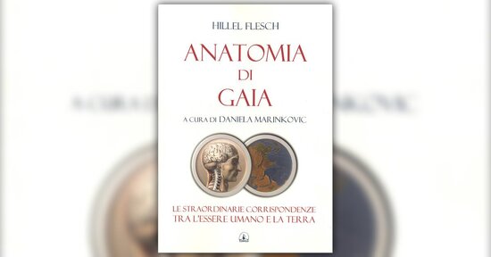 Il cranio come i continenti