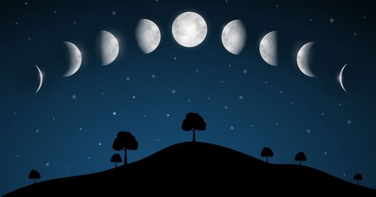 Il Digiuno Lunare