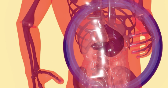 Il microbiota intestinale, un amico importante