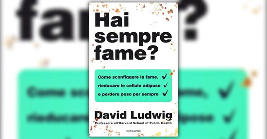 Il quadro complessivo - Estratto da "Hai Sempre Fame?"