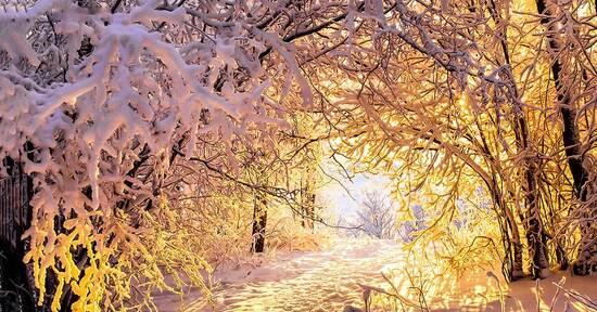 Il racconto dell'inverno